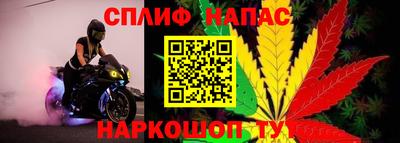 кокс Нягань