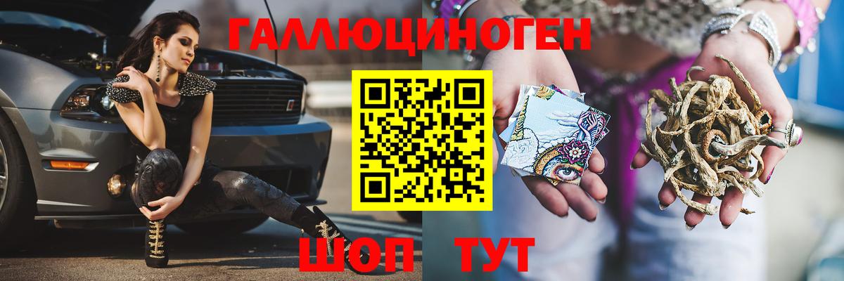 Славгород  Псилоцибиновые грибы мухоморы  Вход с VPN 