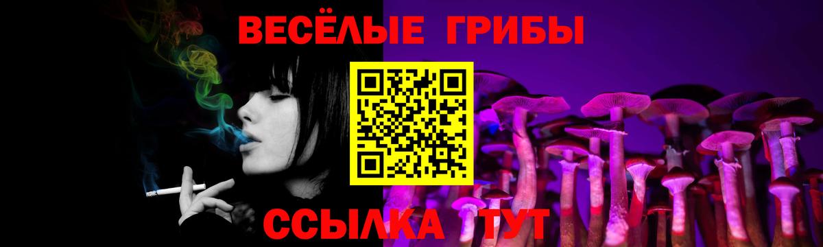 Галлюциногенные грибы GOLDEN TEACHER Славгород