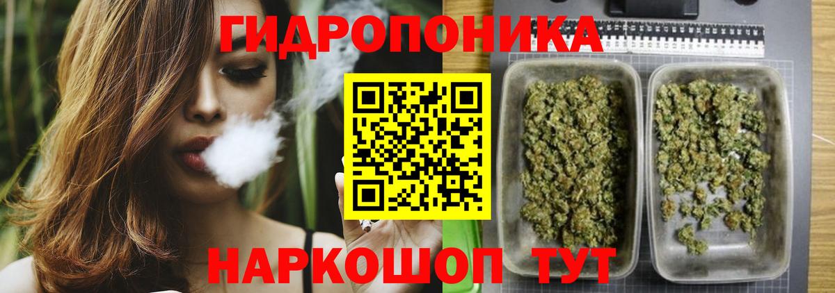Бошки Шишки LSD WEED  Вход с VPN  Славгород  МАРИХУАНА план  Бошки марихуана Bruce Banner 
