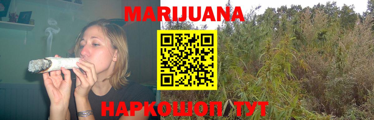 Каннабис OG Kush Славгород